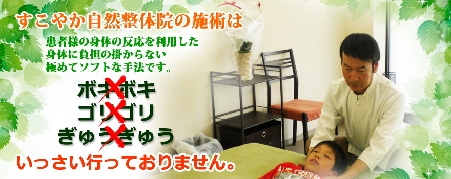 すこやか自然整体院